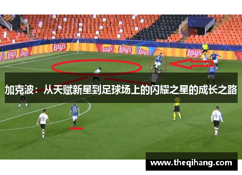 加克波：从天赋新星到足球场上的闪耀之星的成长之路