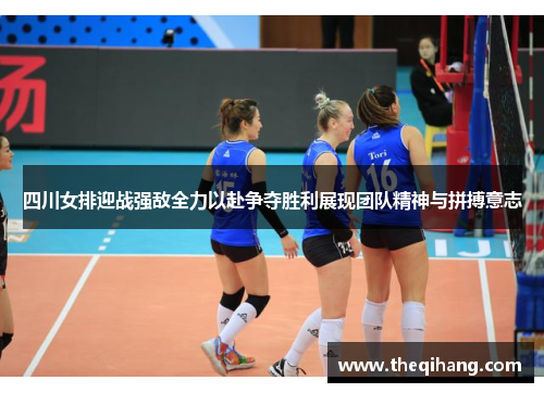 四川女排迎战强敌全力以赴争夺胜利展现团队精神与拼搏意志